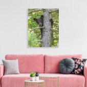 Toile Ours Brun Jeune Grimpant à un Arbre (Insitu(Salon))