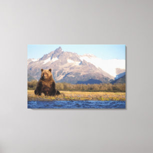 Toile ours brun, Ursus arctos, grizzly, Ursus