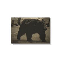 Ours dans la route Parc national Yellowstone WY