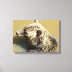 Toile Ours grizzly