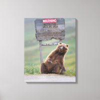 Ours Grizzly Joue Avec Un Panneau