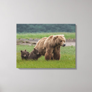 Toile Ours grizzly mère avec deux oursons