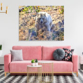 Toile Ours Kermode Rare (Ours Esprit) Photo (Insitu(Salon))