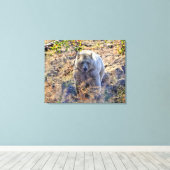 Toile Ours Kermode Rare (Ours Esprit) Photo (Insitu (Plancher de Bois))