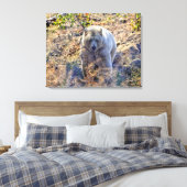 Toile Ours Kermode Rare (Ours Esprit) Photo (Insitu(Chambre))