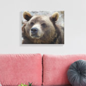 Toile Ours Kodiak en gros plan (Insitu(Salon))
