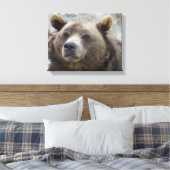 Toile Ours Kodiak en gros plan (Insitu(Chambre))