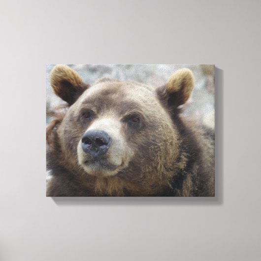 Toile Ours Kodiak en gros plan (Recto)