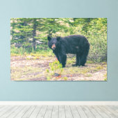 Toile Ours noir (Insitu (Plancher de Bois))