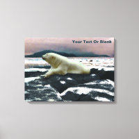 Ours polaire à fonte printanière