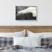 Toile Ours polaire endormi (Insitu(Chambre))