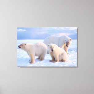 Toile Ours polaire femelle avec des oursons sur la banqu
