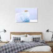 Toile ours polaire, Ursus maritimus (Insitu(Chambre))