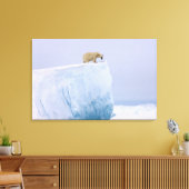 Toile ours polaire, Ursus maritimus (Insitu(Salon))