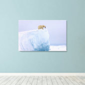 Toile ours polaire, Ursus maritimus (Insitu (Plancher de Bois))