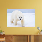 Toile ours polaire, Ursus maritimus, sur glace et neige, (Insitu(Salon))