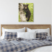 Toile Ourson noir dans un arbre (Insitu(Chambre))