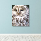 TOILE OWLS (Insitu (Plancher de Bois))