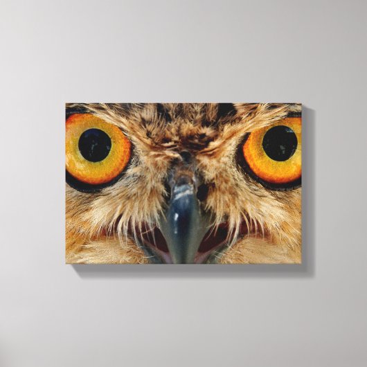 Toile Owls Eyes (Recto)