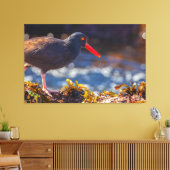 Toile Oystercatcher noir (Insitu(Salon))
