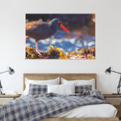 Toile Oystercatcher noir (Insitu(Chambre))