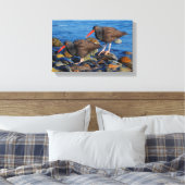 Toile Oystercatcher noir Voir, Oystercatcher noir Do (Insitu(Chambre))