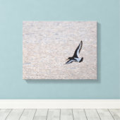 Toile Oystercatcher sur l'aile (Insitu (Plancher de Bois))