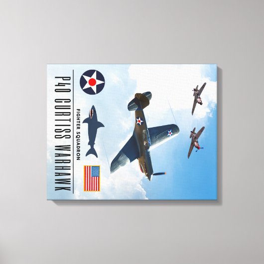 TOILE P-40 CURTISS WARHAWK SQUADRON (Recto)