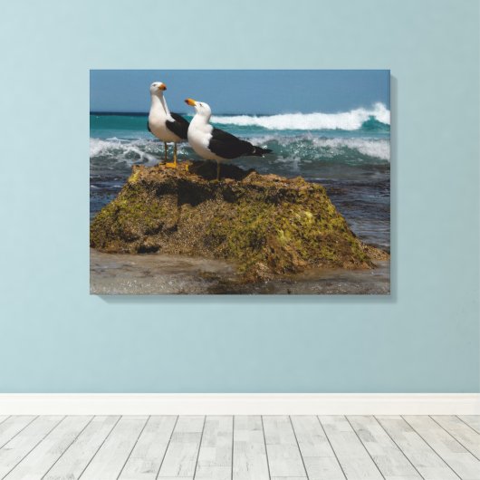 Toile Pacific Gull Bird Beach Paysage océanique Australi (Insitu (Plancher de Bois))