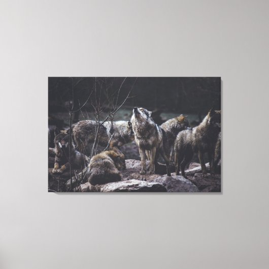 Toile Pack Wolf (Recto)