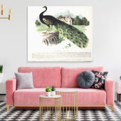 Toile Pacock (Insitu(Salon))