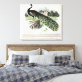 Toile Pacock (Insitu(Chambre))