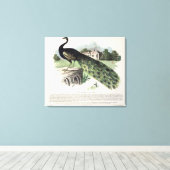 Toile Pacock (Insitu (Plancher de Bois))