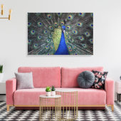 Toile Pacock (Insitu(Salon))