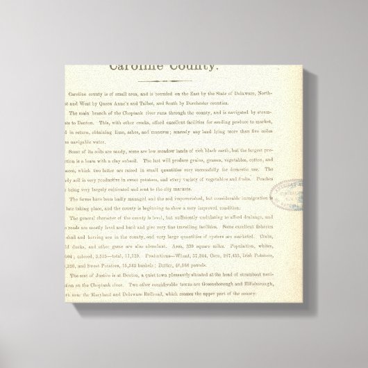 Toile Page texte Caroline Comté (Recto)