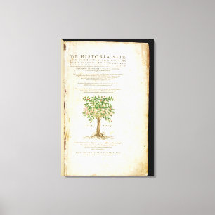 Toile Page titre de 'De Historia Stirpium Commentarii