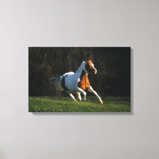 Toile Paint Horse Running Fast (Recto)