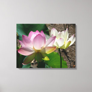 Toile Pair de Lotus