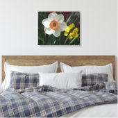 Toile Pair of Daffodils Pink and Yellow Spring Flowers (Insitu(Chambre))