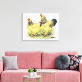 Toile Paire Brahma Buff (Insitu(Salon))