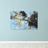 Toile Paire d'aigle à tête blanche au nid (Insitu (Plancher de Bois))