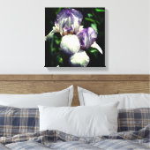 Toile Paire De Fleur Iris À Peau Violet Et Blanc (Insitu(Chambre))