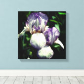 Toile Paire De Fleur Iris À Peau Violet Et Blanc (Insitu (Plancher de Bois))