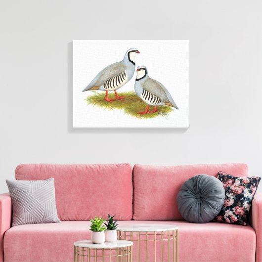 Toile Paire de perdrix de Chukar (Insitu(Salon))