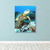 Toile Paire de tortue (Insitu (Plancher de Bois))