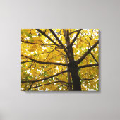 Toile Paire d'érables jaunes Nature d'automne (Recto)