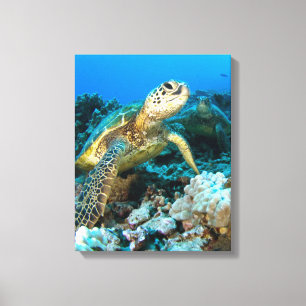 Toile Paires de tortue