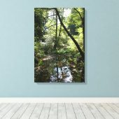 Toile "Paix Verte", Muir Woods (Insitu (Plancher de Bois))