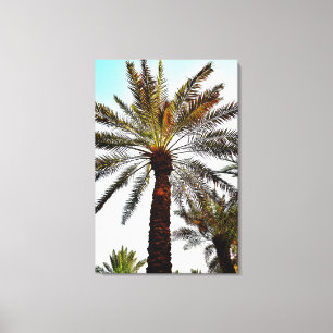 Toile Palais Murabba Arbre Date