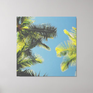 Toile Palm Feuille Photo Tropical Summer Sky Retro Vibe
